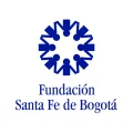 FSFB-4